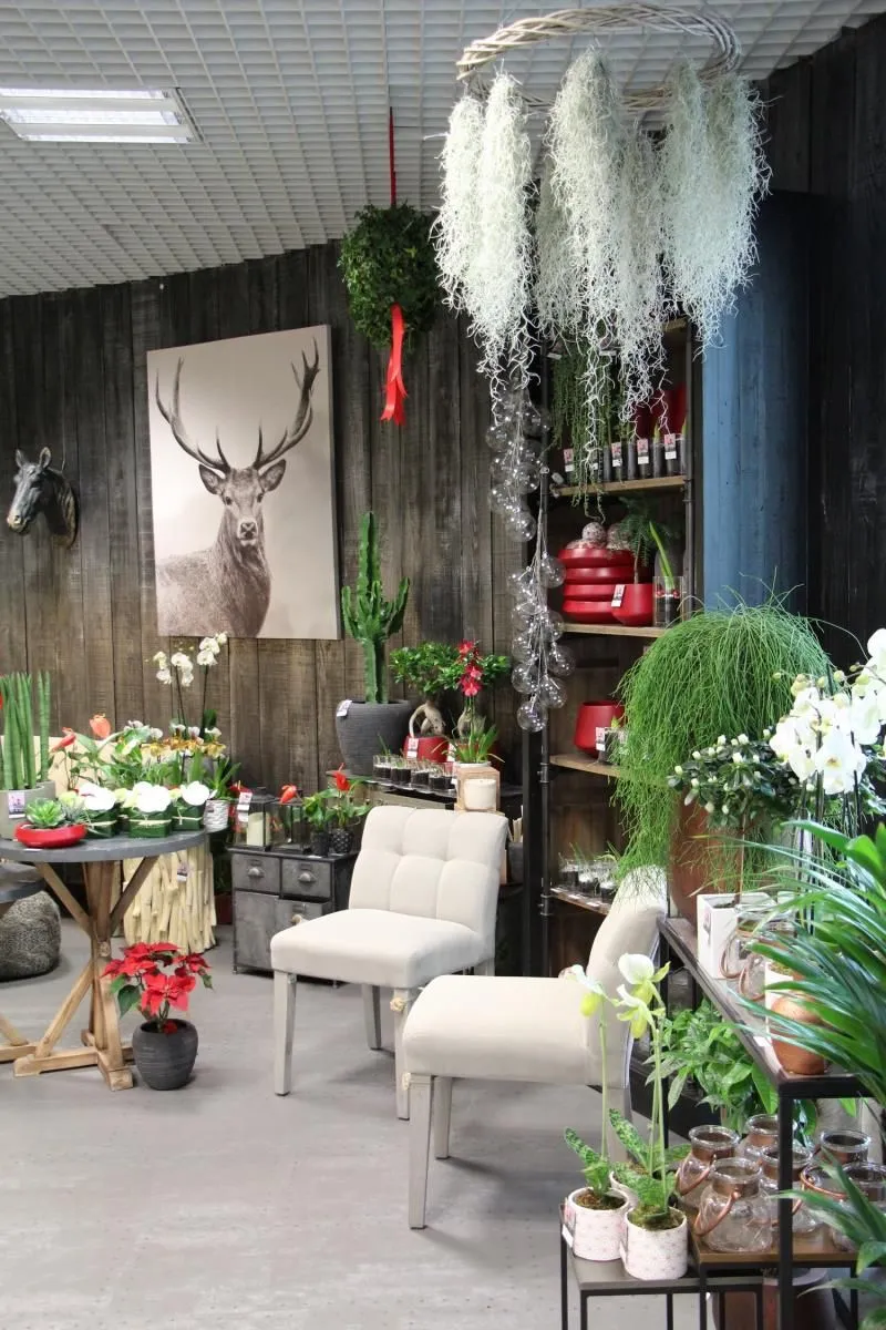 decorateur interieur dinan