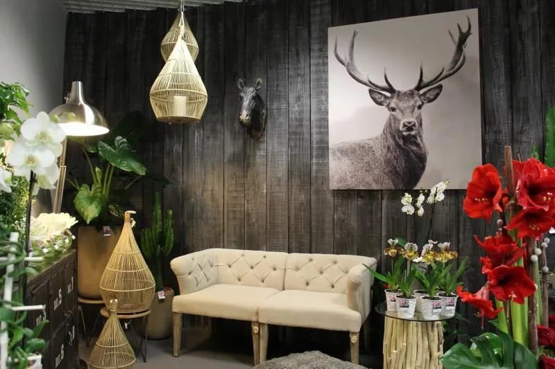 decorateur interieur dinard