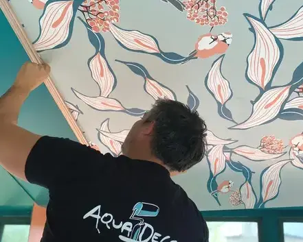 peintre bâtiment Dinard-5